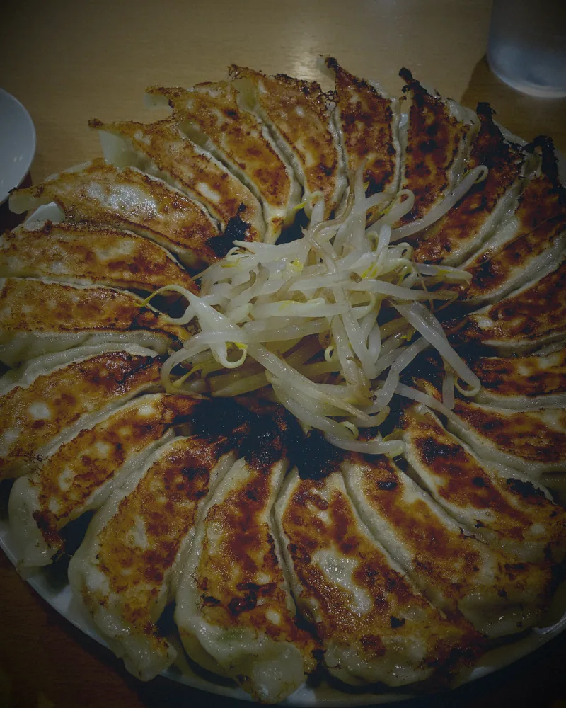 Pan-fried gyoza in a cast iron pan